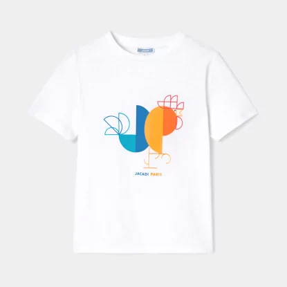 T-shirt enfant garçon en coton biologique